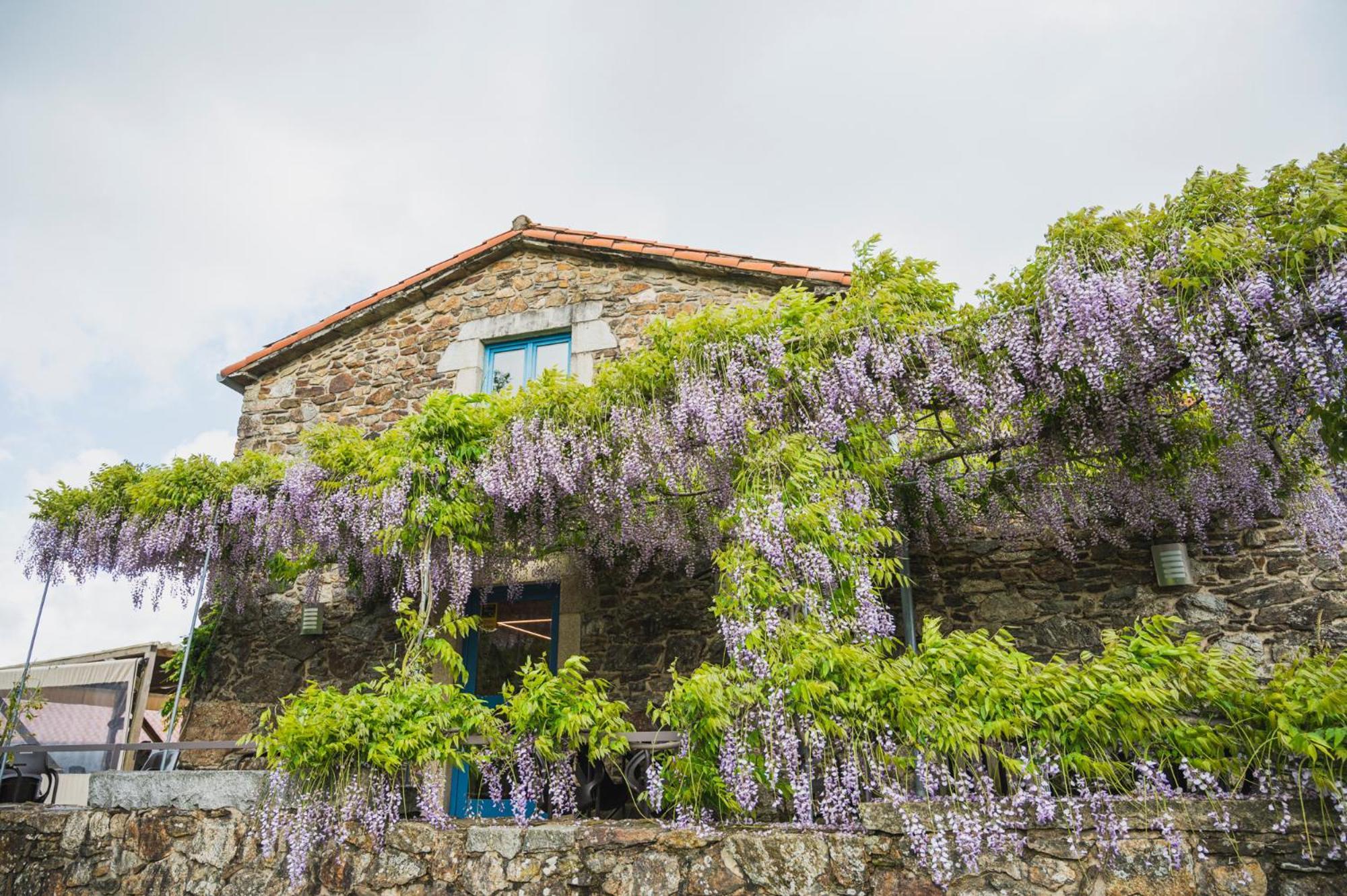 ホテル Casa De Amancio ラバコーヤ エクステリア 写真